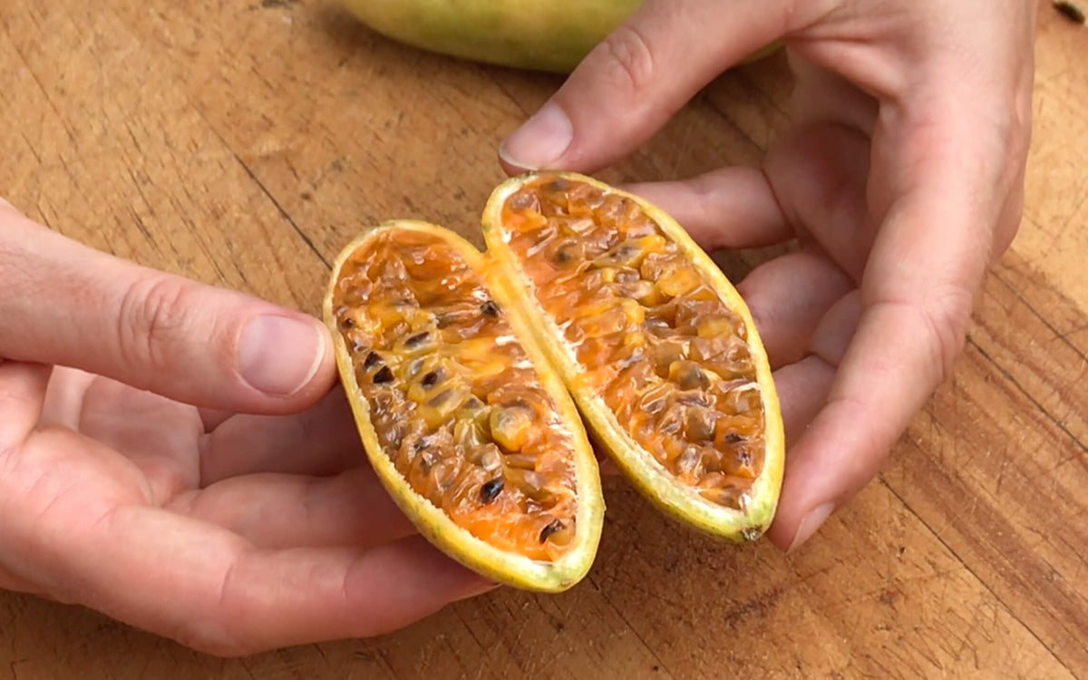 What Does Passion Fruit Taste Like? Let's Get into Detail