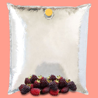 Andean Blackberry Aseptic Fruit Puree Pack