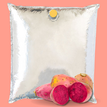 Load image into Gallery viewer, Prickly Pear