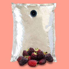 Load image into Gallery viewer, Andean Blackberry Aseptic Fruit Puree