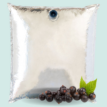 Load image into Gallery viewer, Black Currant