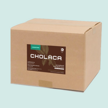 Load image into Gallery viewer, Cacao