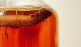 The 3 Best Kombucha Flavor Ideas & Trends