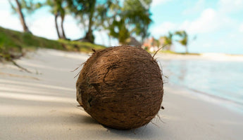 Coconut Sauces, Beers & Dessert Ideas: 5 Ways to Incorporate Coconut in Your Culinary Dishes & Beverages