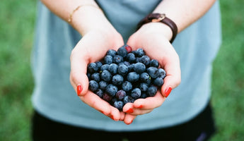 Blueberry Flavor Pairings: Flavors That Go Well With Blueberry Puree