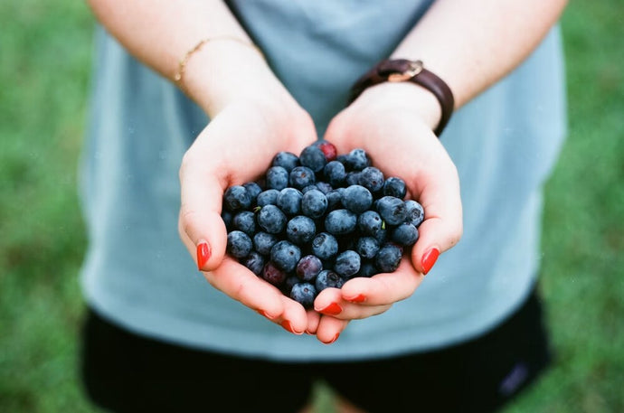 Blueberry Flavor Pairings: Flavors That Go Well With Blueberry Puree