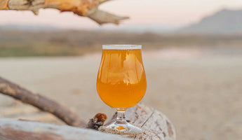 5 Types of Fruit Beer