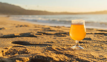 Our Top 5 Fruits for the Perfect Citrus Beer
