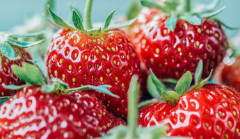 10 Ways to Use Strawberry Puree for Cakes, Ice Cream, & More