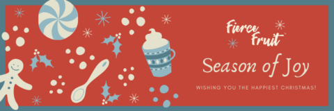 Merry Christmas and a Happy New Year!