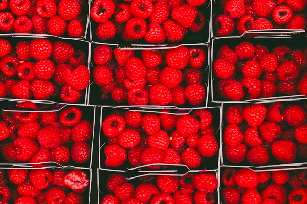 raspberries in boxes for packing