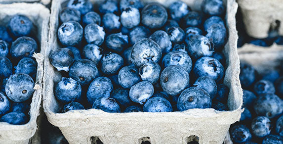 Blueberries In Packs