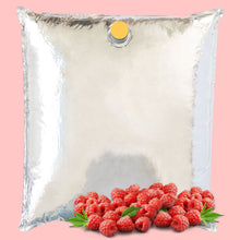 Load image into Gallery viewer, Raspberry Aseptic Fruit Puree Pack
